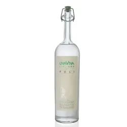 Grappa Jacopo Poli Uva Viva Italiana