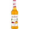 Sciroppo Spicy Mango Monin