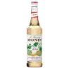 Sirup Melone Monin